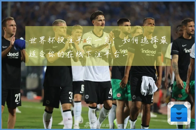 世界杯投注平台一览：如何选择最适合你的在线下注平台？